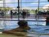 Img 42